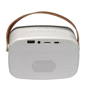 Denver Altavoz con microfono BTM-610 Bluetooth,microfono BTM-610,BTM-610,111151020790,5706751071195