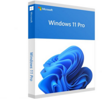 Windows 11 Professional Retail Licencia Digital