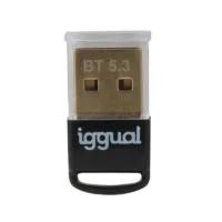 iggual Adaptador USB 2.0 mini Bluetooth 5.3,8435364319383,mini Bluetooth 5.3,IGG319383