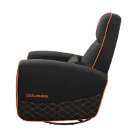 cougar sillon fidom